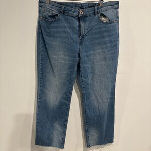 J.Jill High-Rise Straight Leg Jeans Size 14 Blue Frayed Hem Denim